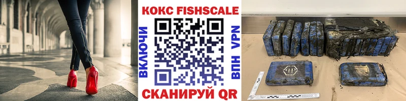 COCAIN Fish Scale  как найти закладки  Сясьстрой 