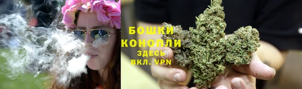 прущие грибы Абинск