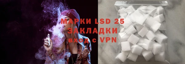 прущие грибы Абинск