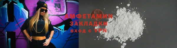 прущие грибы Абинск