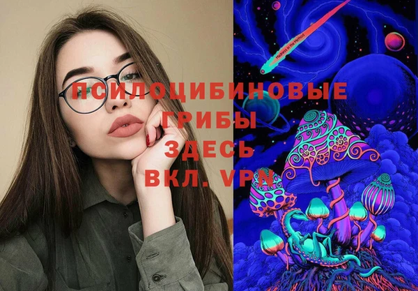 прущие грибы Абинск