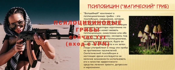 бошки Абаза