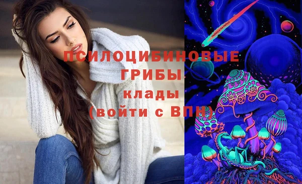 бошки Абаза