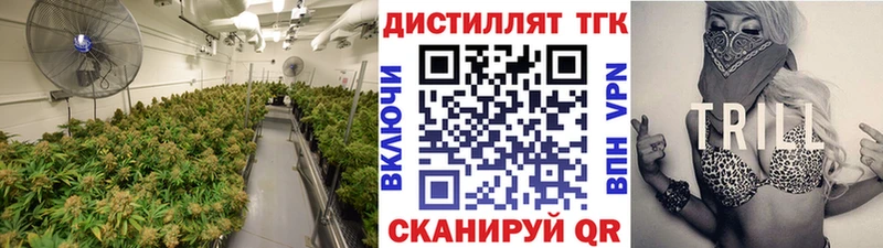 это телеграм  блэк спрут зеркало  Сясьстрой  Дистиллят ТГК концентрат 